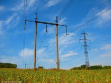 Power lines in the field of sunflowers / ***