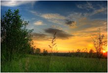 Field, the Belarusian field / ***