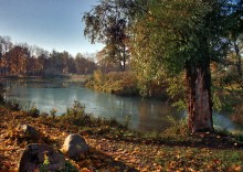 Autumn view of the pond Vittolovsky from Old Willow ... / ***