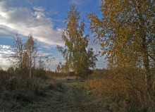 walk in autumn / ,,,,,,,,,,,,,,,,