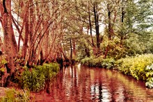 Crimson River / ***