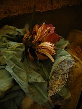 Taste of Color / no comment