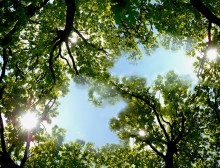 I shone four suns / ***