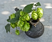Whistle and hops / ***