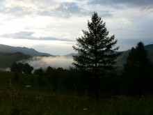 Fog in the Altai Mountains / ***