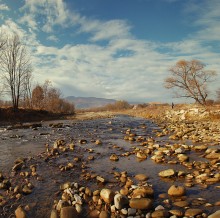 Carpathian - river / ***