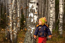 autumn forest / ***