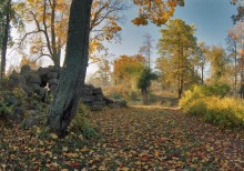 Autumn view of Old Willow Pond in Vittolovskogo. : -) / ***