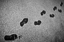 The first snow ... / *******