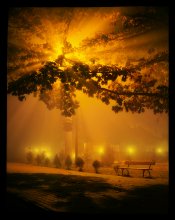 Night, street lights ... bench ... / ***