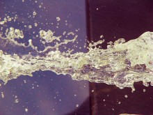 fountain offspring / ***