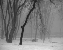 In the misty park / ***