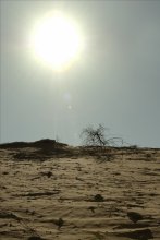Sand Dune / ***