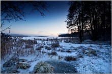 evening in blue tones / winter