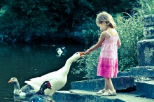 The girl and the goose / ...