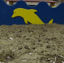 Belarusian dolphin / ***