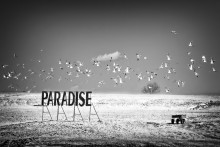 Stop Paradise 2 / ***