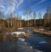 Spring scene (the last snow) / ***