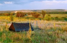 In the floodplain of the Don / ***