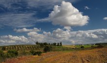 Over fields, over the meadows ... / ***