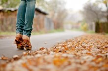 Fashion on the leaves ... / ***