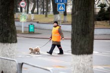 Lady with the Dog / __________________