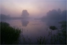 Dawn mist / ***