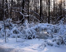 When there was snow ... / ***
