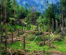 Mountains after the hurricane / ***