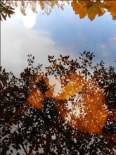 Reflection of Autumn / ***