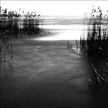 Freezing point / .....