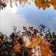 Reflection of autumn in the square / ***