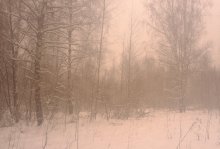 Blizzard / ***