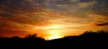 Evening / ***