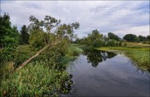 Cloudy rural landscape / .....