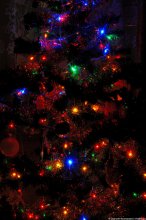 Congratulations to all a Happy New Year! / Subj