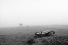 Pritsepchik in the fog / ***