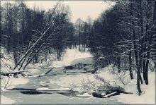 Windbreak on nearly frozen river. / ***