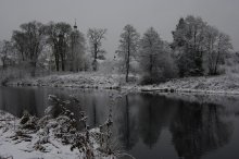 First snow in Rudnev. / ***