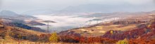 Palette of autumn the Carpathians / ***
