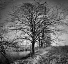 &nbsp; / ************