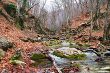 River Ulu - Uzen. / ***