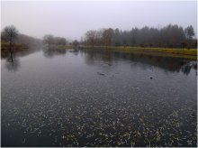 Swam Fall / ---------