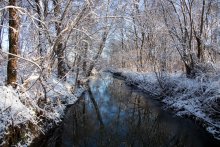 The river in winter / ***