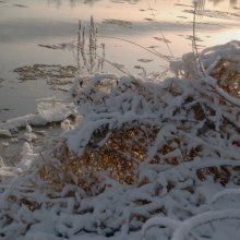 Winter Morning / ***