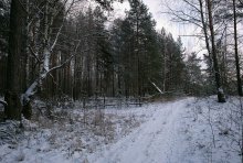Winter trails / _______________________*