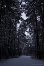 Winter's Tale / ***