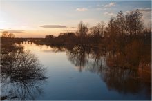 River. Forest in March / ***