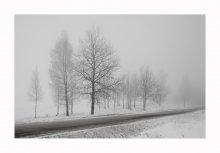 Morning. Fog. The road ... / ******