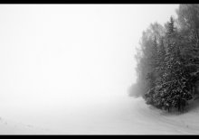 winter fog / ***